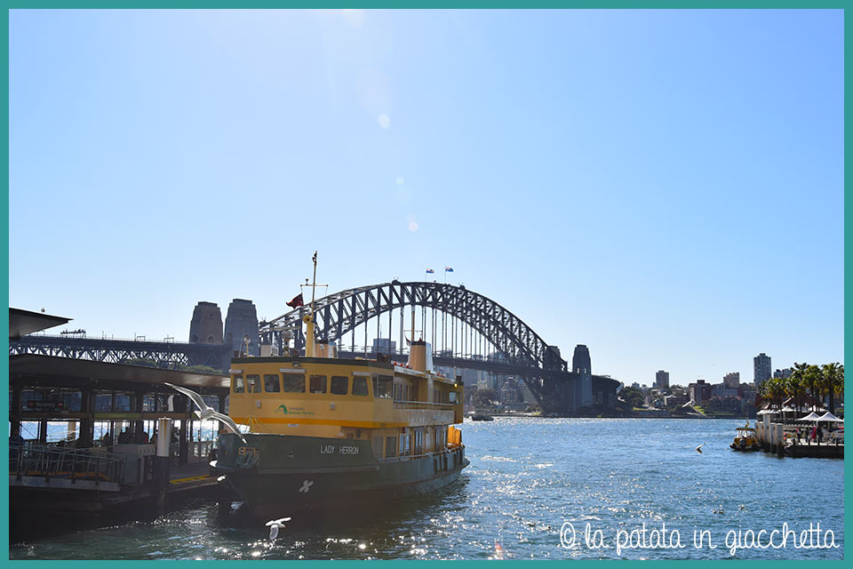 vista di Harbour Bridge e Circula Quay