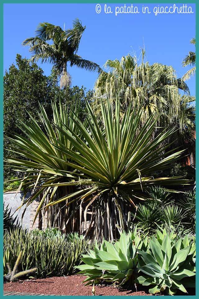 Royal Botanic Gardens di Sydney