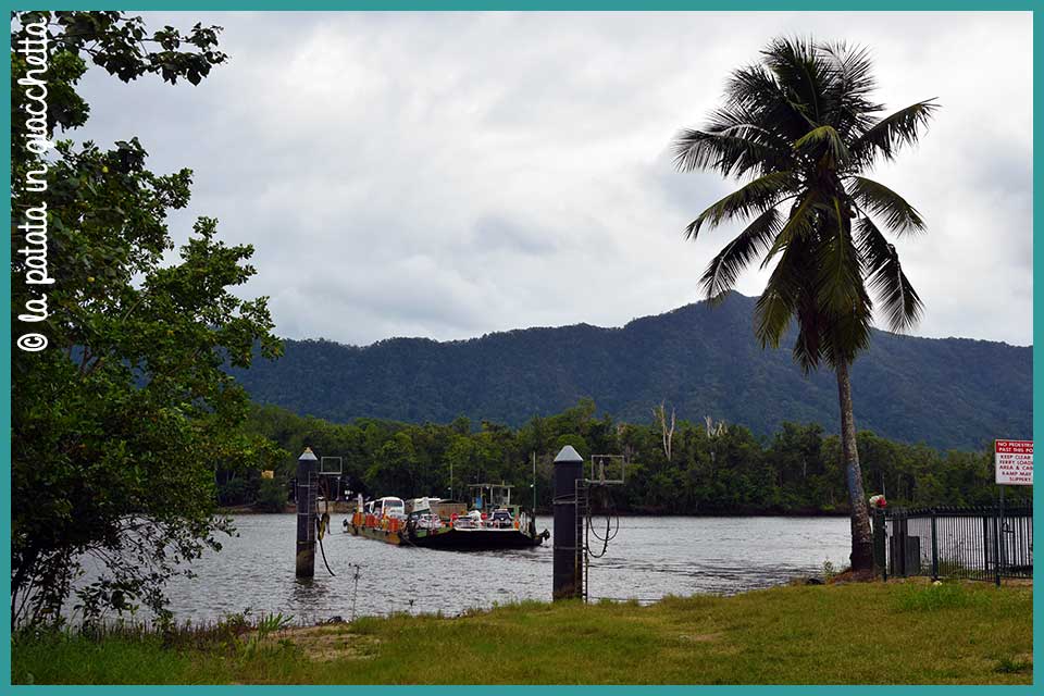 attraversamento con ferry - ferry crossing Daintree
